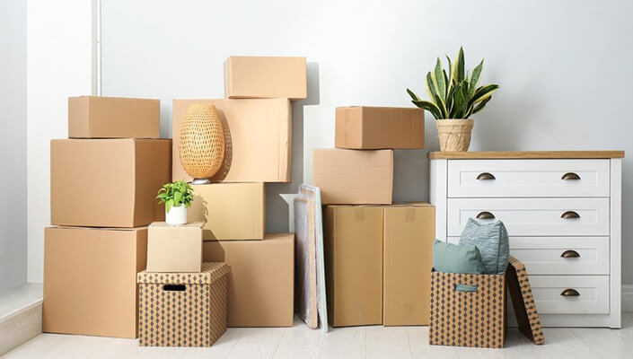 Move In / Move Out
